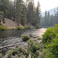 Pioneer Ford Campground ico
