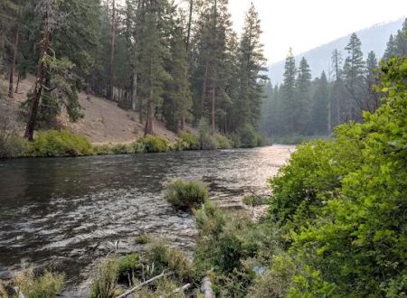 Pioneer Ford Campground