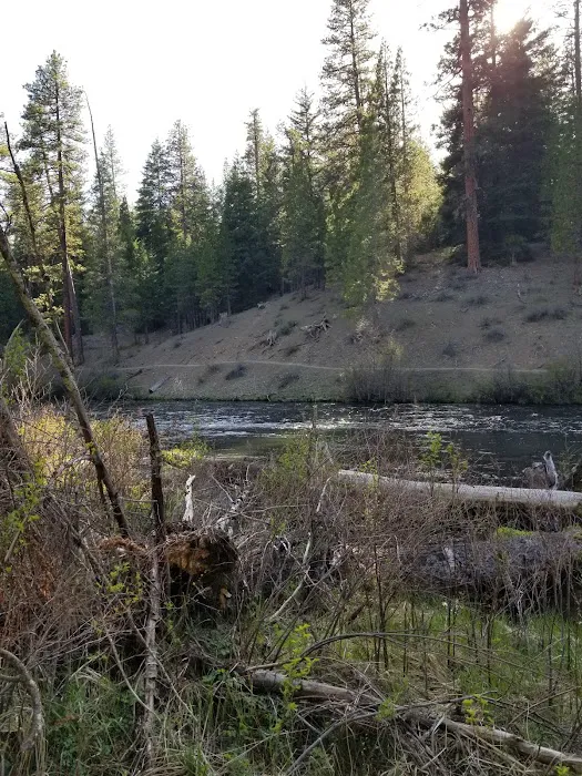 Pioneer Ford Campground Picture 10
