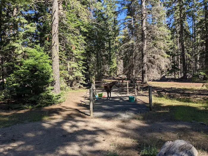 Whispering Pine Horse Camp Picture 7
