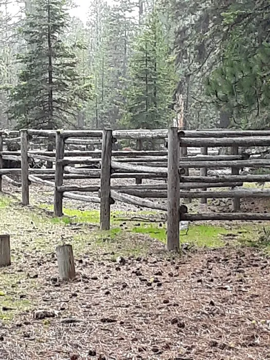 Whispering Pine Horse Camp Picture 6