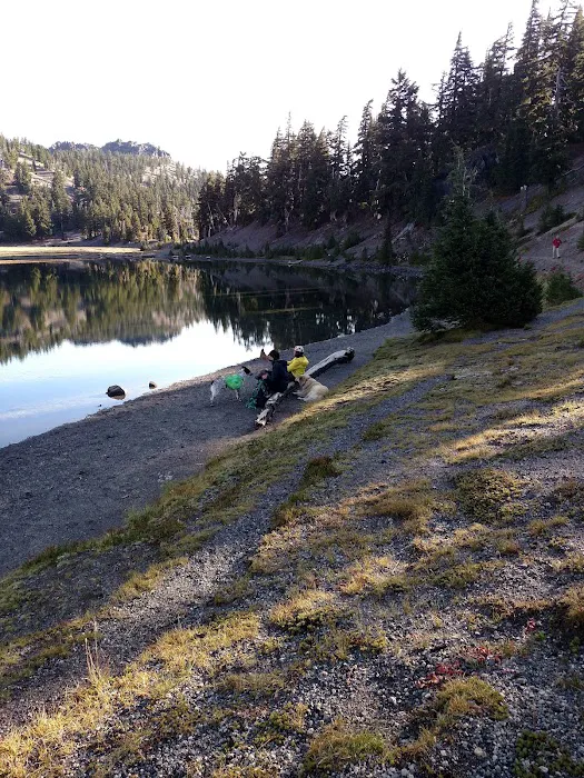 Moraine Lake Campsite Picture 10