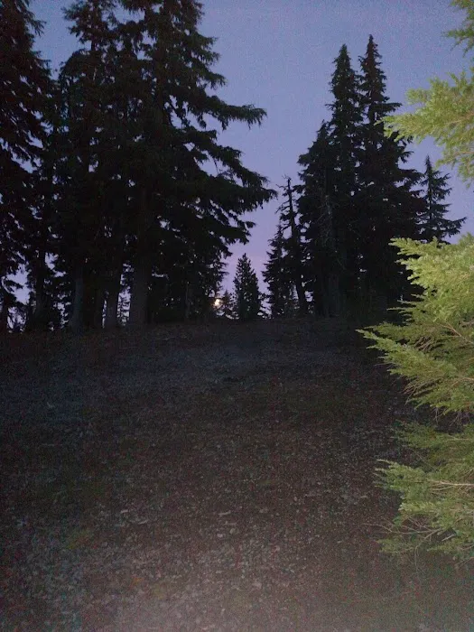 Moraine Lake Campsite Picture 8