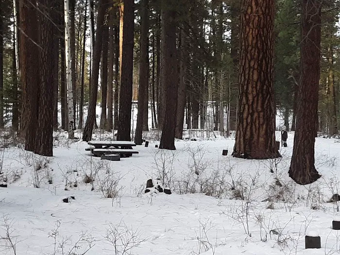 Cold Spring Campground Picture 2