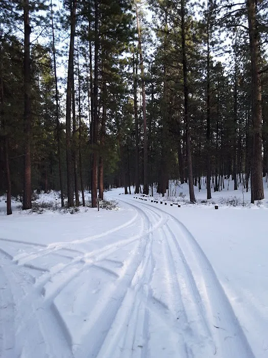 Cold Spring Campground Picture 1