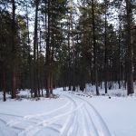 Cold Spring Campground
