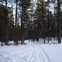 Cold Spring Campground ico