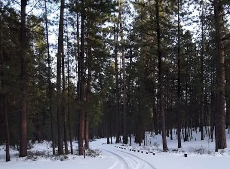 Cold Spring Campground