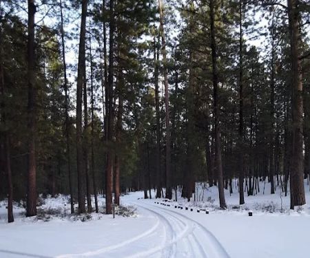Cold Spring Campground