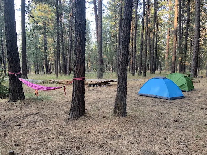 Cold Spring Campground Picture 4