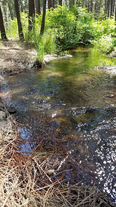 Cold Spring Campground Picture 6