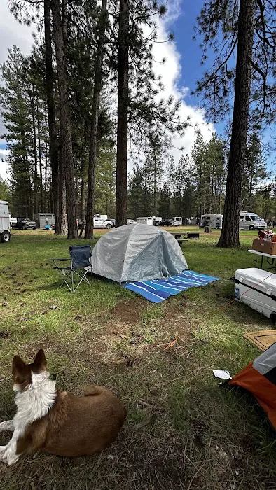 Sisters Cow Camp Picture 5