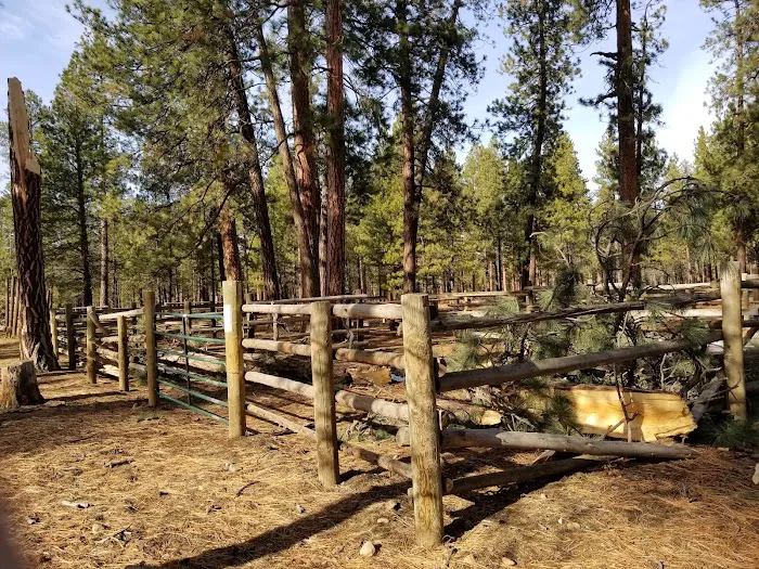 Sisters Cow Camp Picture 4