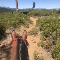 Sisters Cow Camp ico