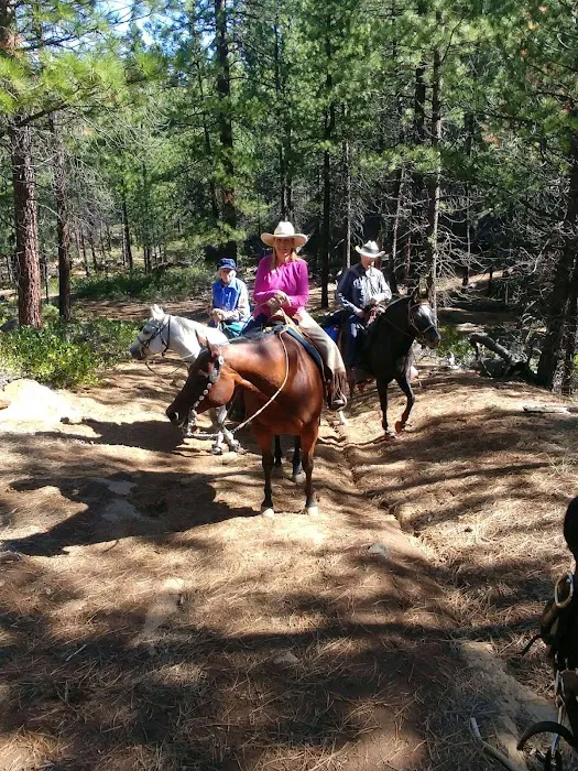 Sisters Cow Camp Picture 10