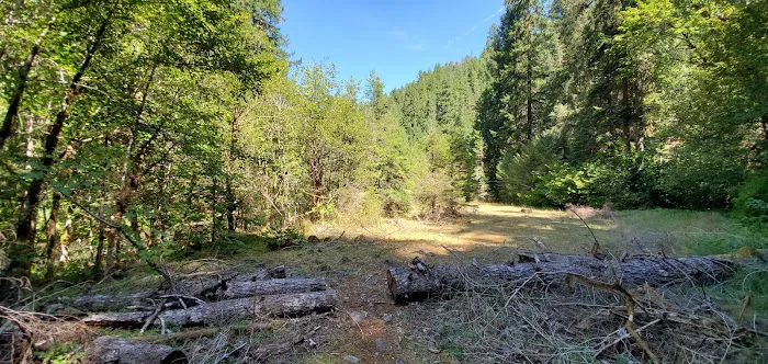 Red Diamond Group Campsite Picture 2