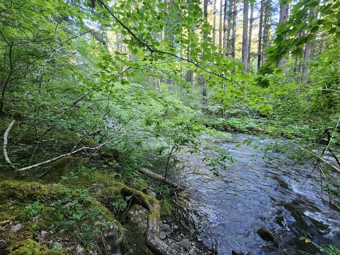 Frissell Crossing Campground Picture 1