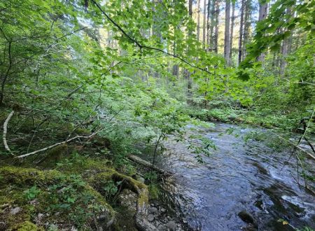 Frissell Crossing Campground