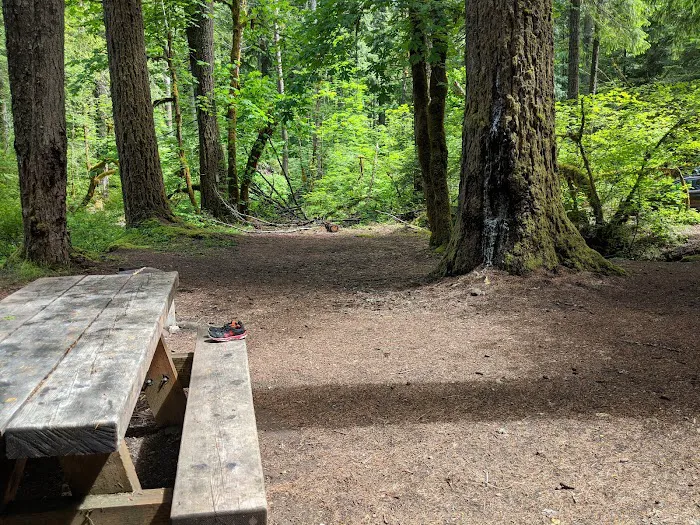 Frissell Crossing Campground Picture 5