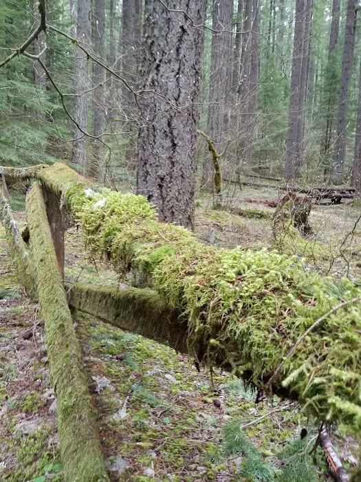 Frissell Crossing Campground Picture 3