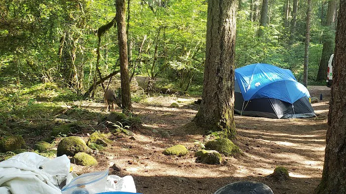 Roaring River Group Campground Picture 1