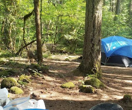 Roaring River Group Campground