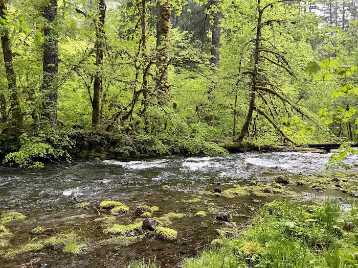 Roaring River Group Campground Picture 9