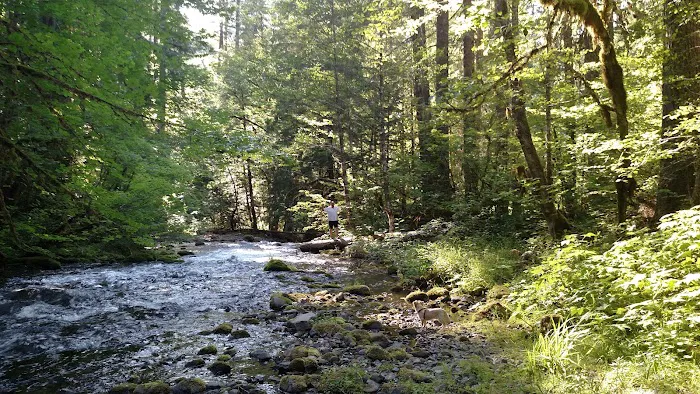 Roaring River Group Campground Picture 2