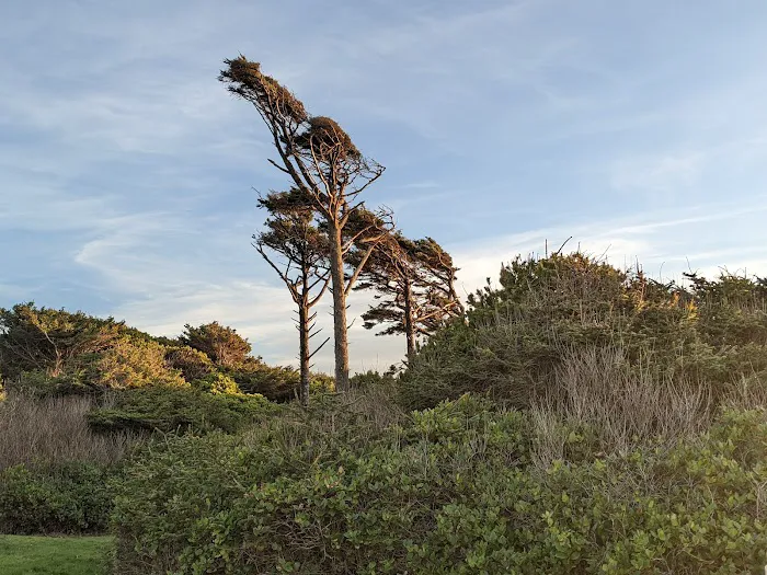 Tillicum Beach Campground Picture 3