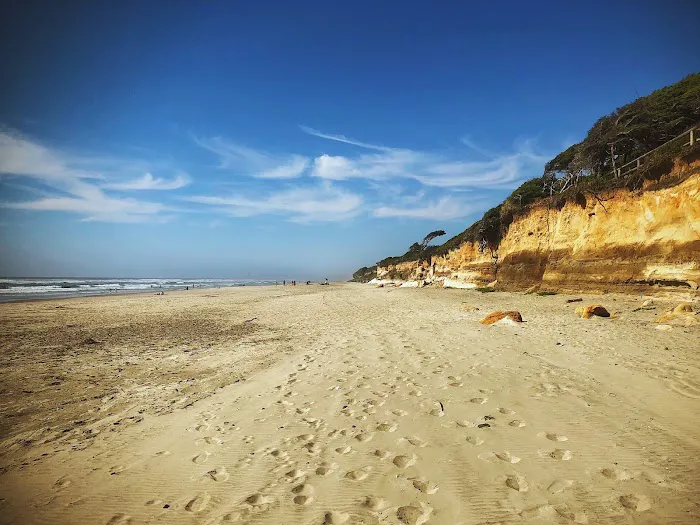 Tillicum Beach Campground Picture 9