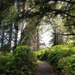 Cape Perpetua Trailhead