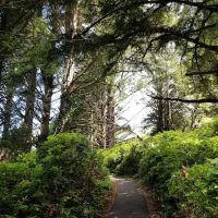 Cape Perpetua Trailhead ico