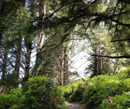 Cape Perpetua Trailhead