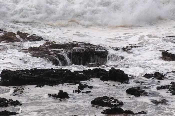 Cape Perpetua Trailhead Picture 8