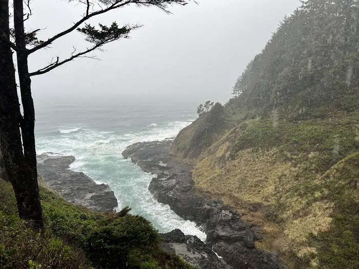 Cape Perpetua Trailhead Picture 9