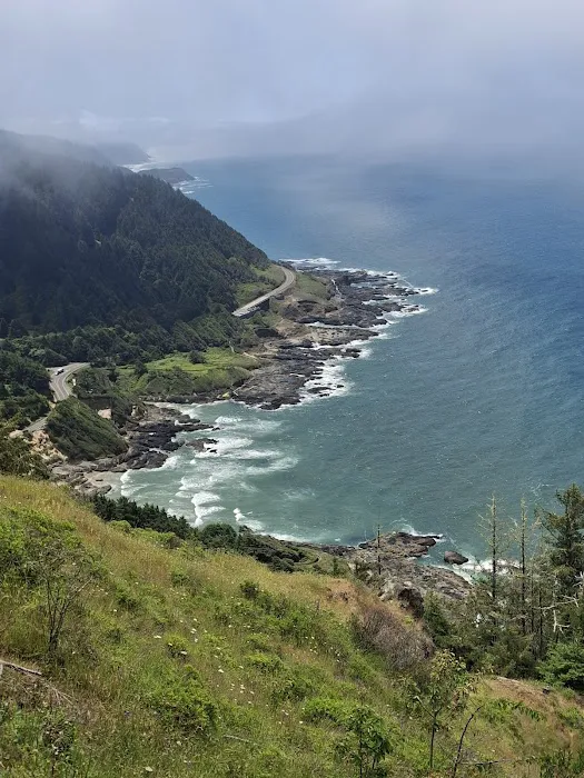 Cape Perpetua Campground Picture 7