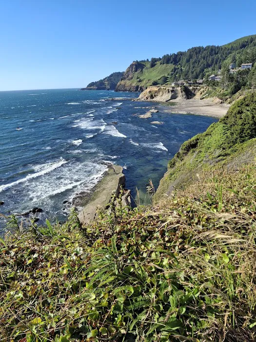 Cape Perpetua Campground Picture 4