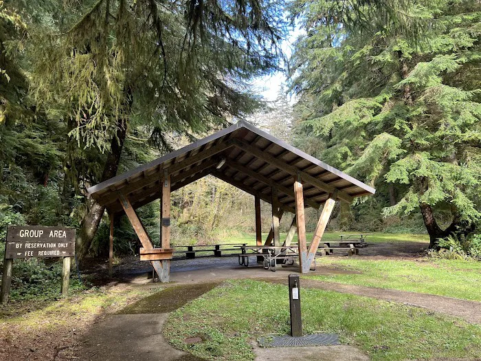 Cape Perpetua Campground Picture 2