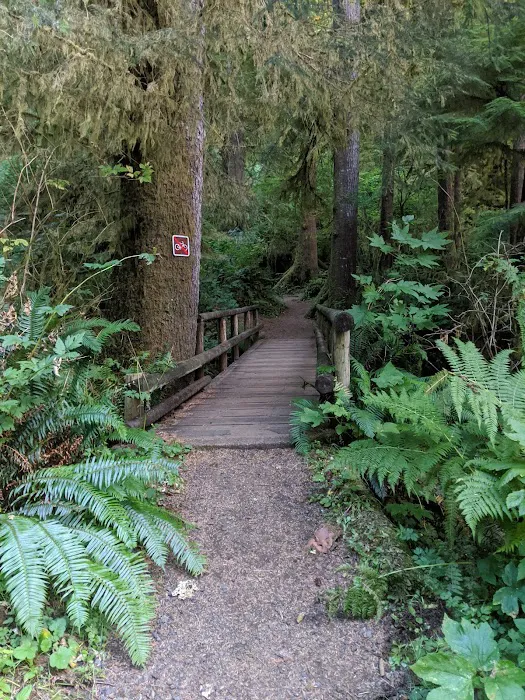 Cape Perpetua Campground Picture 5