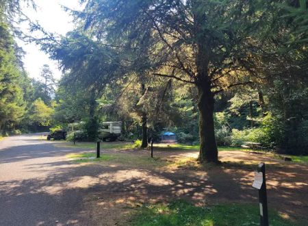 Cape Perpetua Campground
