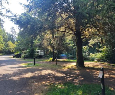Cape Perpetua Campground