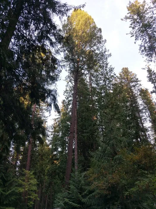 Riley Creek Picture 10