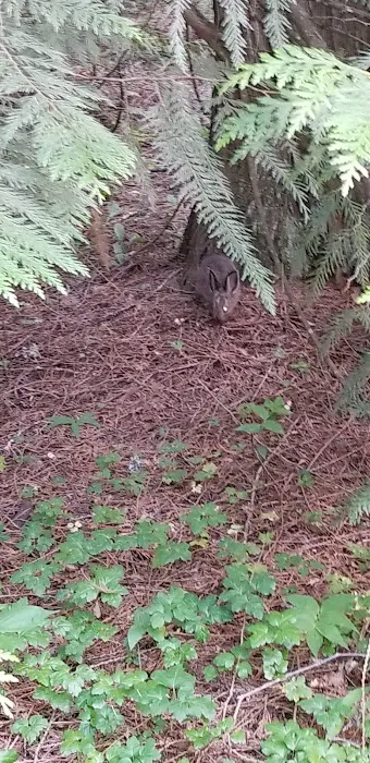 Riley Creek Picture 1