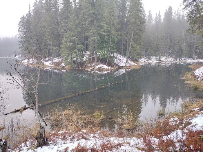 Round Lake Campground Picture 2