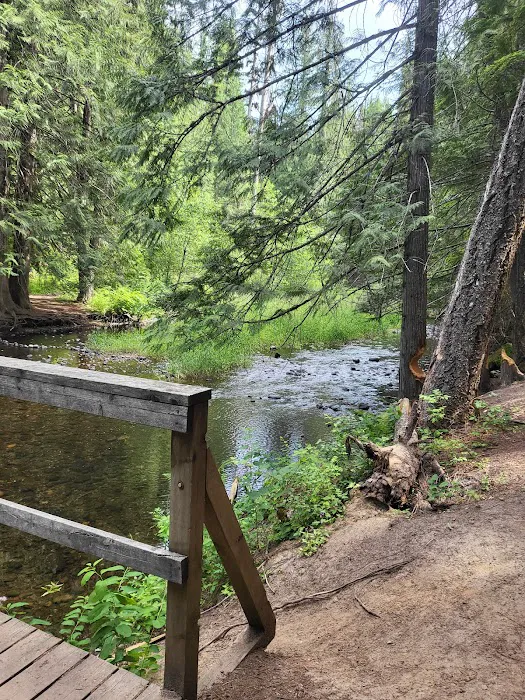 Round Lake Campground Picture 8