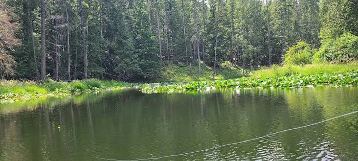 Round Lake Campground Picture 1