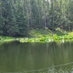 Round Lake Campground