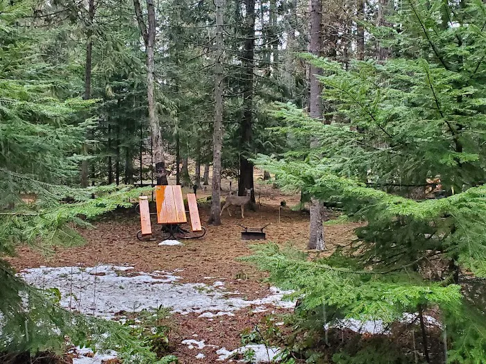 Round Lake Campground Picture 9