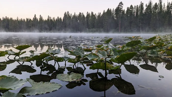 Round Lake Campground Picture 10
