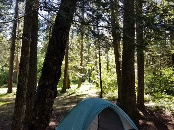 Mokins Bay Campground Picture 6